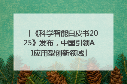 《科学智能白皮书2025》发布，中国引领AI应用型创新领域