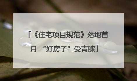 《住宅项目规范》落地首月 “好房子”受青睐
