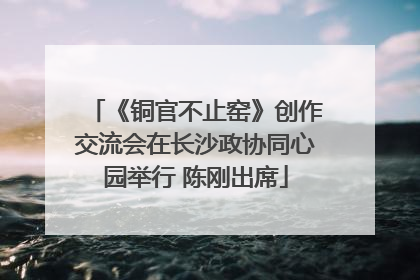 《铜官不止窑》创作交流会在长沙政协同心园举行 陈刚出席