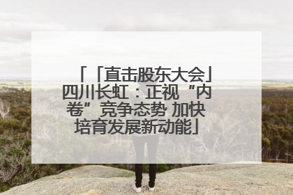 「直击股东大会」四川长虹：正视“内卷”竞争态势 加快培育发展新动能