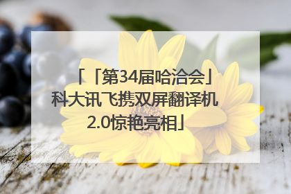 「第34届哈洽会」科大讯飞携双屏翻译机2.0惊艳亮相