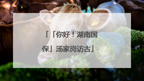 「你好！湖南国保」汤家岗访古