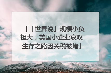 「世界说」规模小负担大，美国小企业哀叹生存之路因关税被堵