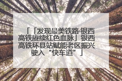 「发现最美铁路·银西高铁赓续红色血脉」银西高铁环县站赋能老区振兴驶入“快车道”