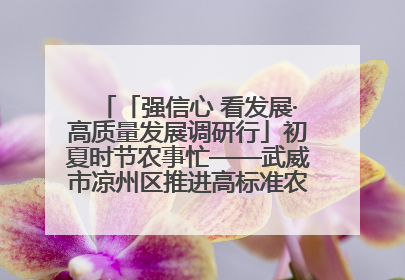 「强信心 看发展·高质量发展调研行」初夏时节农事忙——武威市凉州区推进高标准农田建设见闻