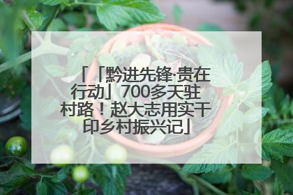 「黔进先锋·贵在行动」700多天驻村路！赵大志用实干印乡村振兴记