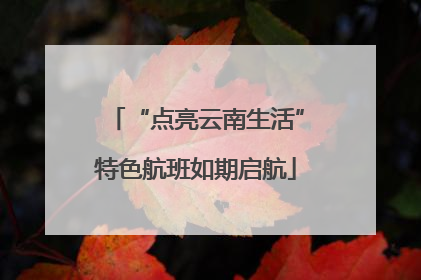 “点亮云南生活”特色航班如期启航