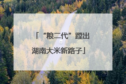 “粮二代”蹚出湖南大米新路子