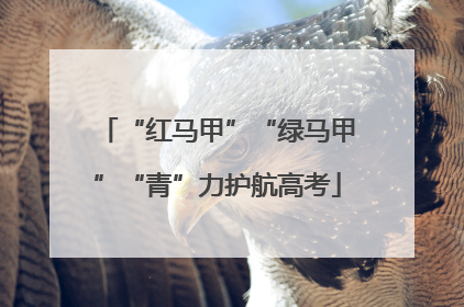 “红马甲”“绿马甲”“青”力护航高考