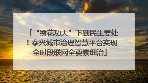 “绣花功夫”下到民生要处！泰兴城市治理智慧平台实现全时段联网全要素细治