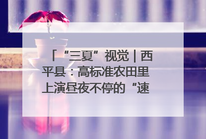 “三夏”视觉｜西平县：高标准农田里上演昼夜不停的“速度与激情”
