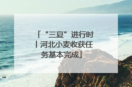 “三夏”进行时丨河北小麦收获任务基本完成
