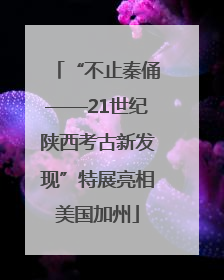 “不止秦俑——21世纪陕西考古新发现”特展亮相美国加州