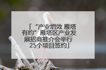 “产业增效 雁塔有约”雁塔区产业发展招商推介会举行 25个项目签约