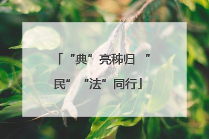 “典”亮秭归 “民”“法”同行