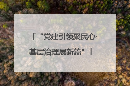 “党建引领聚民心·基层治理展新篇”