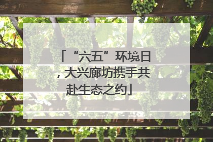 “六五”环境日，大兴廊坊携手共赴生态之约