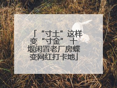 “寸土”这样变“寸金” 十堰闲置老厂房蝶变网红打卡地