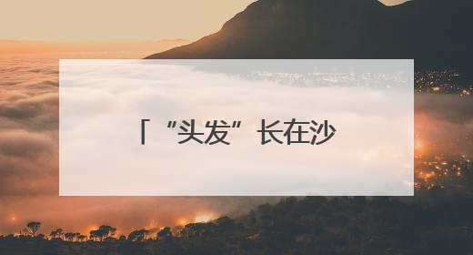“头发”长在沙地上？宁夏发现大规模国家一级保护植物发菜群落