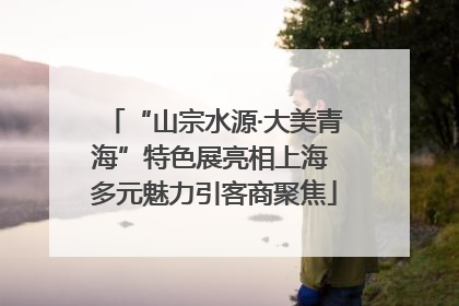 “山宗水源·大美青海”特色展亮相上海 多元魅力引客商聚焦