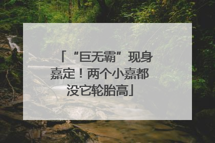 “巨无霸”现身嘉定！两个小嘉都没它轮胎高