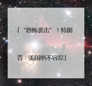 “恐怖袭击”！特朗普：美国绝不容忍