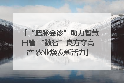 “把脉会诊”助力智慧田管 “数智”良方夺高产 农业焕发新活力