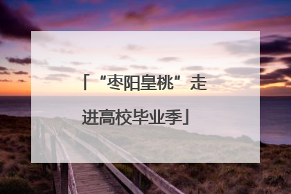 “枣阳皇桃”走进高校毕业季