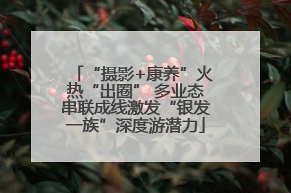 “摄影+康养”火热“出圈” 多业态串联成线激发“银发一族”深度游潜力