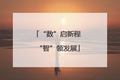 “数”启新程 “智”领发展