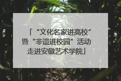 “文化名家进高校”暨“非遗进校园”活动走进安徽艺术学院
