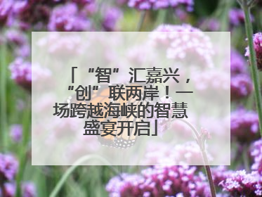 “智”汇嘉兴，“创”联两岸！一场跨越海峡的智慧盛宴开启