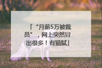 “月薪5万被裁员”，网上突然冒出很多！有猫腻