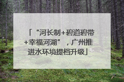 “河长制+碧道碧带+幸福河湖”，广州推进水环境提档升级