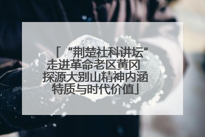 “荆楚社科讲坛”走进革命老区黄冈 探源大别山精神内涵特质与时代价值