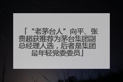 “老茅台人”向平、张贵超获推荐为茅台集团副总经理人选，后者是集团最年轻党委委员
