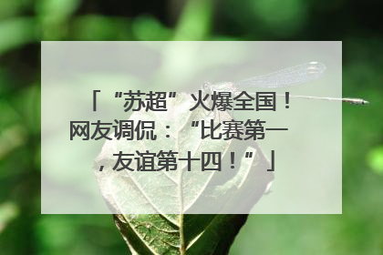 “苏超”火爆全国！网友调侃：“比赛第一，友谊第十四！”