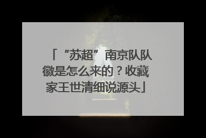 “苏超”南京队队徽是怎么来的？收藏家王世清细说源头