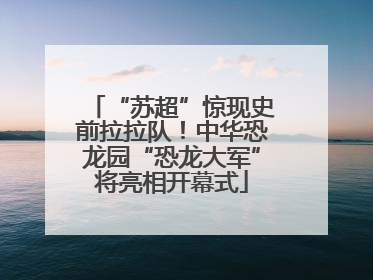 “苏超”惊现史前拉拉队！中华恐龙园“恐龙大军”将亮相开幕式