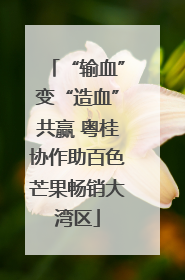 “输血”变“造血”共赢 粤桂协作助百色芒果畅销大湾区