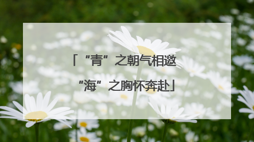 “青”之朝气相邀 “海”之胸怀奔赴