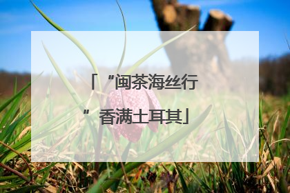 “闽茶海丝行”香满土耳其