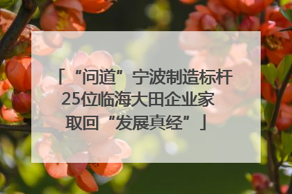 “问道”宁波制造标杆 25位临海大田企业家取回“发展真经”
