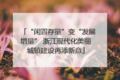 “闲置存量”变“发展增量” 浙江现代化美丽城镇建设再添新意