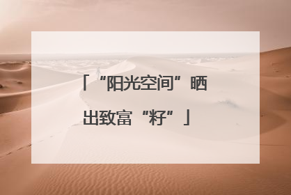 “阳光空间”晒出致富“籽”