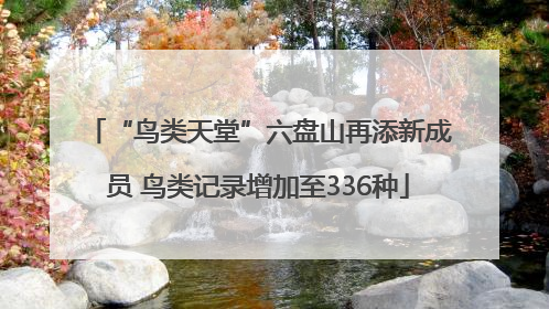 “鸟类天堂”六盘山再添新成员 鸟类记录增加至336种