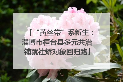 “黄丝带”系新生：淄博市桓台县多元共治铺就社矫对象回归路