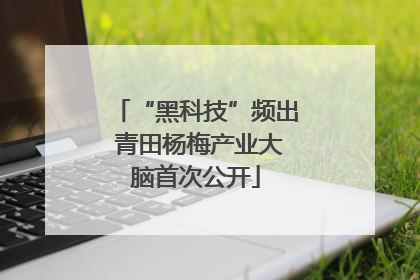 “黑科技”频出 青田杨梅产业大脑首次公开