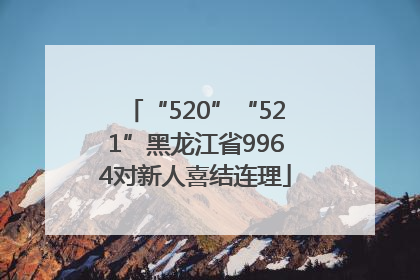 “520”“521”黑龙江省9964对新人喜结连理