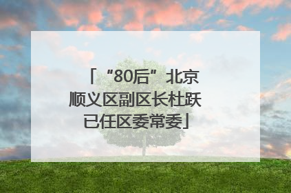 “80后”北京顺义区副区长杜跃已任区委常委